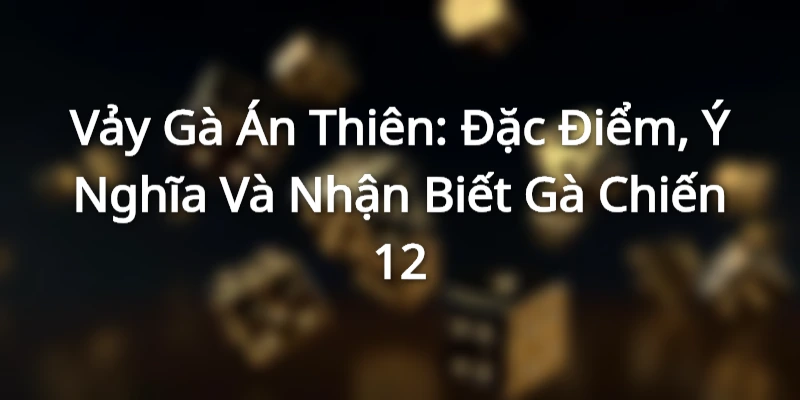 dac-diem-vay-ga-an-thien